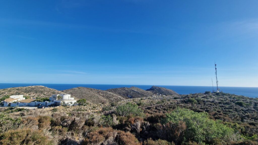 Views to South from Abubilla plot 2